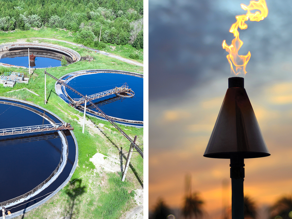 Hawaii Gas Olomana Loomis ISC